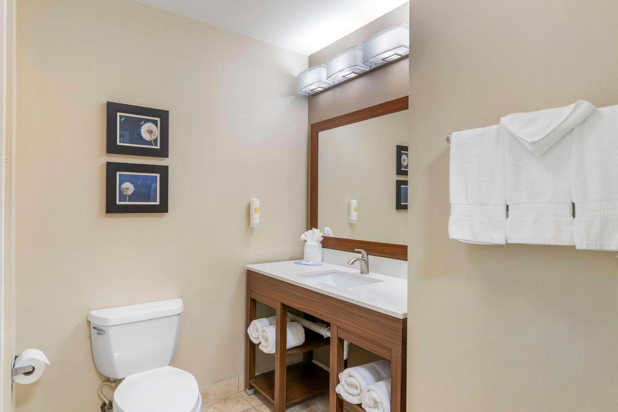 Comfort Inn & Suites تيفتون المظهر الخارجي الصورة